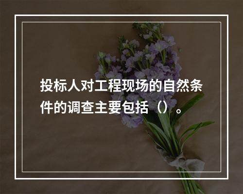 投标人对工程现场的自然条件的调查主要包括（）。