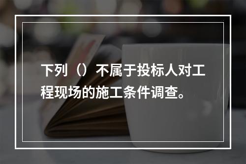 下列（）不属于投标人对工程现场的施工条件调查。