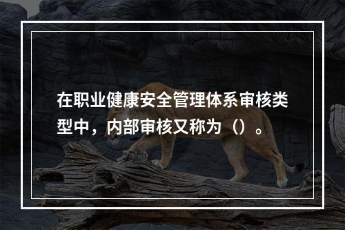 在职业健康安全管理体系审核类型中，内部审核又称为（）。