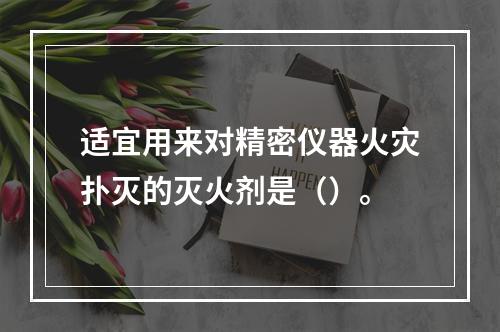 适宜用来对精密仪器火灾扑灭的灭火剂是（）。