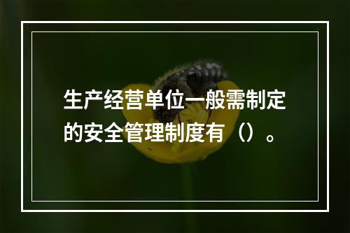 生产经营单位一般需制定的安全管理制度有（）。