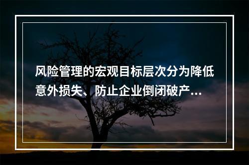 风险管理的宏观目标层次分为降低意外损失、防止企业倒闭破产和（