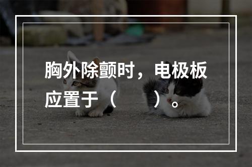 胸外除颤时，电极板应置于（　　）。