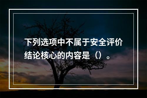 下列选项中不属于安全评价结论核心的内容是（）。