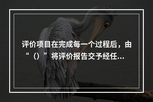 评价项目在完成每一个过程后，由“（）”将评价报告交予经任命的