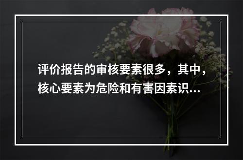 评价报告的审核要素很多，其中，核心要素为危险和有害因素识别是