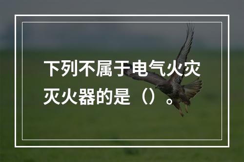 下列不属于电气火灾灭火器的是（）。