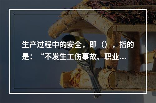 生产过程中的安全，即（），指的是：“不发生工伤事故、职业病、