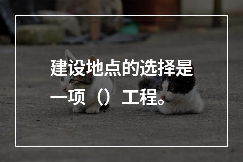 建设地点的选择是一项（）工程。