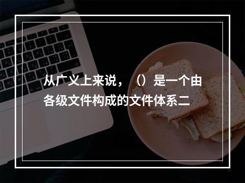 从广义上来说，（）是一个由各级文件构成的文件体系二