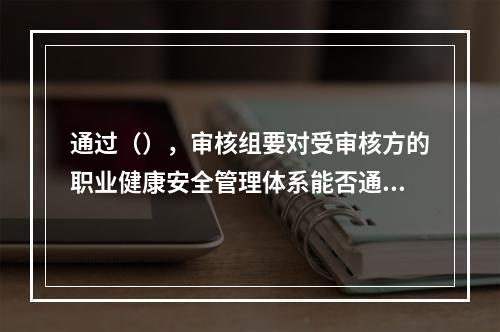 通过（），审核组要对受审核方的职业健康安全管理体系能否通过现