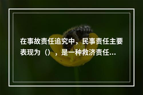 在事故责任追究中，民事责任主要表现为（），是一种救济责任，用