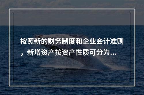 按照新的财务制度和企业会计准则，新增资产按资产性质可分为（）