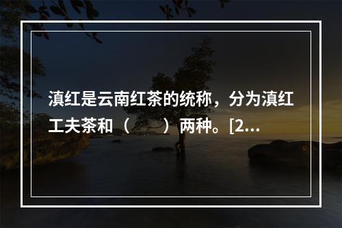 滇红是云南红茶的统称，分为滇红工夫茶和（　　）两种。[201