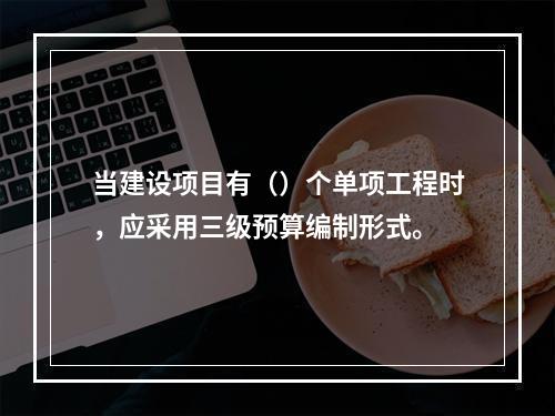 当建设项目有（）个单项工程时，应采用三级预算编制形式。