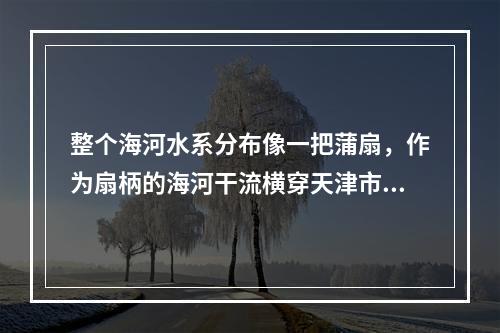 整个海河水系分布像一把蒲扇，作为扇柄的海河干流横穿天津市区，