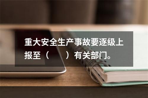 重大安全生产事故要逐级上报至（　　）有关部门。