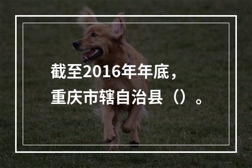 截至2016年年底，重庆市辖自治县（）。