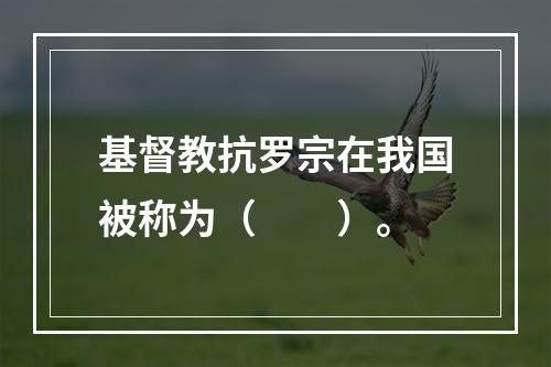 基督教抗罗宗在我国被称为（　　）。