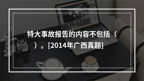 特大事故报告的内容不包括（　　）。[2014年广西真题]