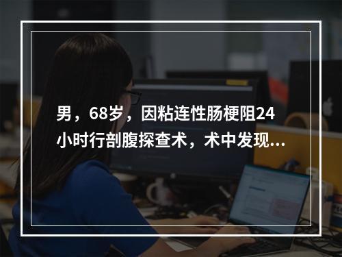 男，68岁，因粘连性肠梗阻24小时行剖腹探查术，术中发现肠系