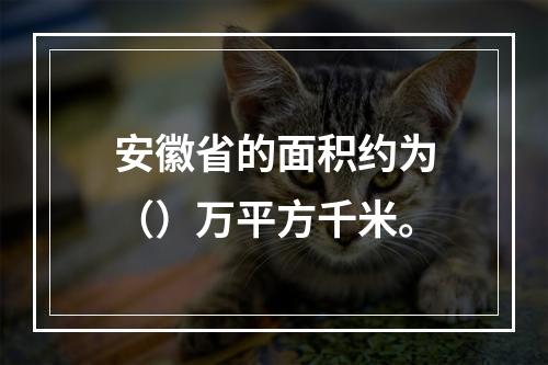 安徽省的面积约为（）万平方千米。