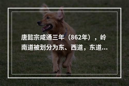 唐懿宗咸通三年（862年），岭南道被划分为东、西道，东道治广