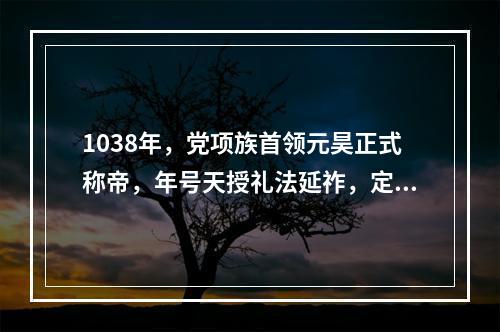 1038年，党项族首领元昊正式称帝，年号天授礼法延祚，定都（