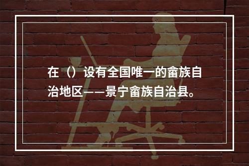 在（）设有全国唯一的畲族自治地区——景宁畲族自治县。