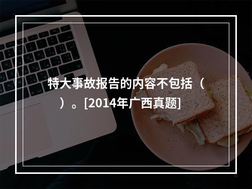 特大事故报告的内容不包括（　　）。[2014年广西真题]