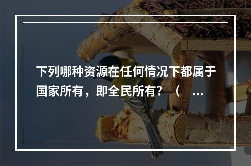 下列哪种资源在任何情况下都属于国家所有，即全民所有？（　　