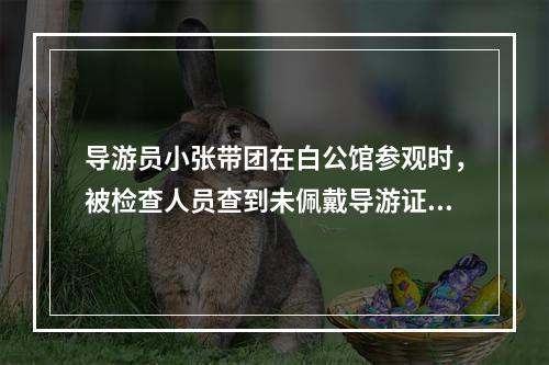 导游员小张带团在白公馆参观时，被检查人员查到未佩戴导游证，