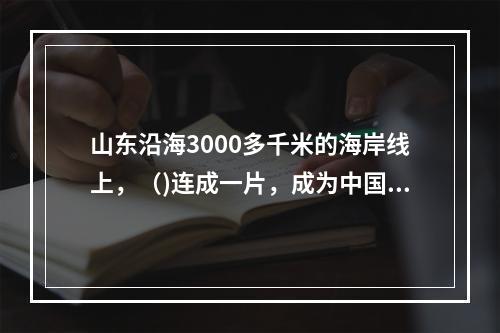 山东沿海3000多千米的海岸线上，（)连成一片，成为中国独有