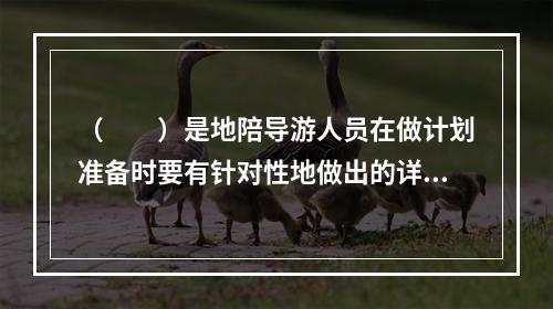 （　　）是地陪导游人员在做计划准备时要有针对性地做出的详细