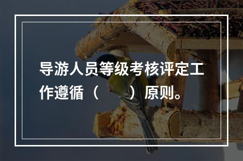 导游人员等级考核评定工作遵循（　　）原则。