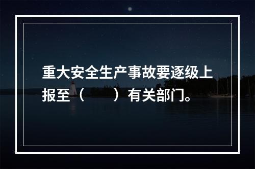 重大安全生产事故要逐级上报至（　　）有关部门。