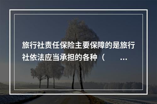 旅行社责任保险主要保障的是旅行社依法应当承担的各种（　　）。