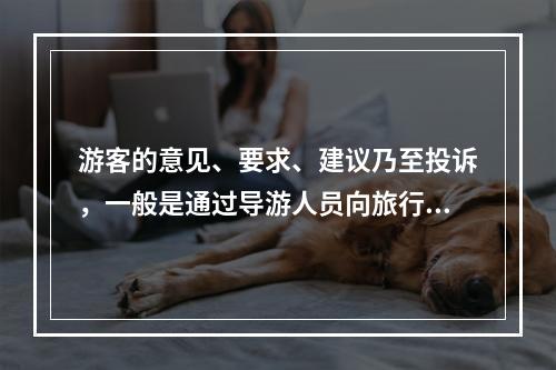 游客的意见、要求、建议乃至投诉，一般是通过导游人员向旅行社