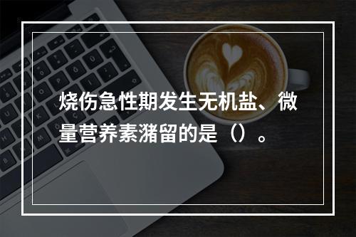 烧伤急性期发生无机盐、微量营养素潴留的是（）。