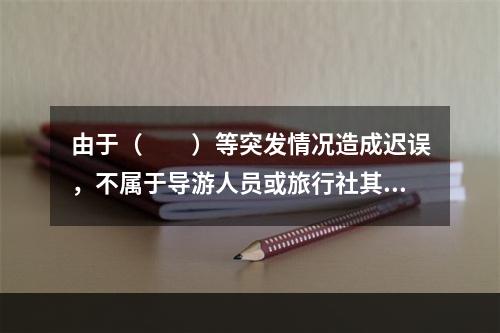 由于（　　）等突发情况造成迟误，不属于导游人员或旅行社其他