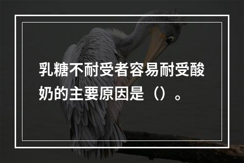 乳糖不耐受者容易耐受酸奶的主要原因是（）。