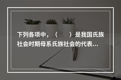 下列各项中，（　　）是我国氏族社会时期母系氏族社会的代表人