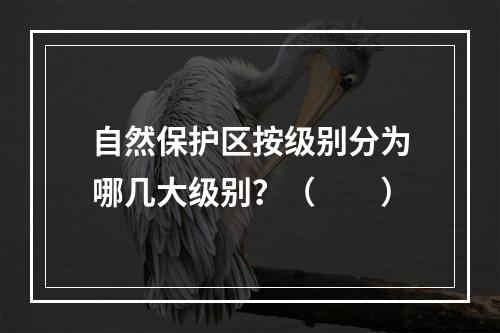 自然保护区按级别分为哪几大级别？（　　）