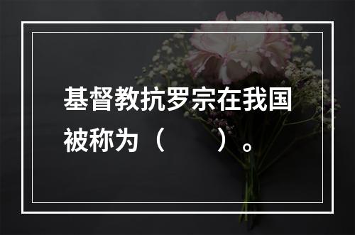 基督教抗罗宗在我国被称为（　　）。