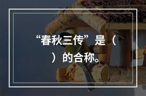 “春秋三传”是（　　）的合称。