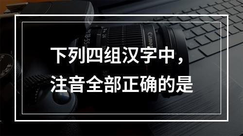 下列四组汉字中，注音全部正确的是