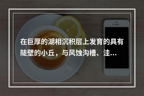 在巨厚的湖相沉积层上发育的具有陡壁的小丘，与风蚀沟槽、洼地相