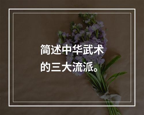 简述中华武术的三大流派。