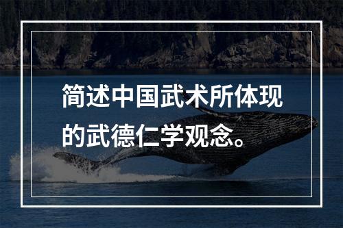 简述中国武术所体现的武德仁学观念。