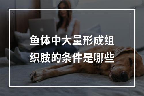 鱼体中大量形成组织胺的条件是哪些